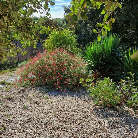 Le Calme De La Garrigue Bed & Breakfast Russan Dış mekan fotoğraf