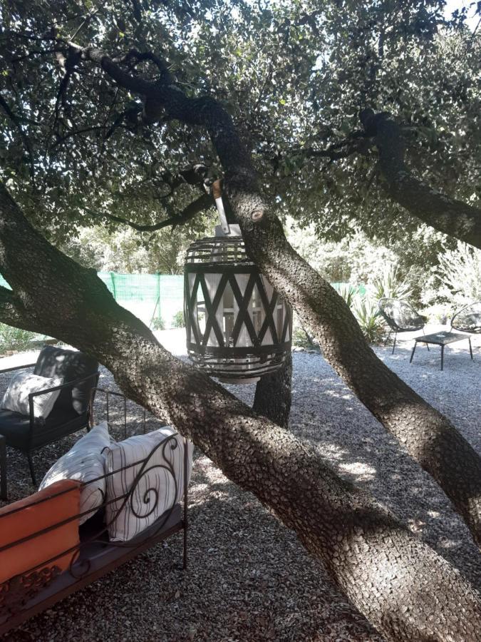 Le Calme De La Garrigue Bed & Breakfast Russan Dış mekan fotoğraf