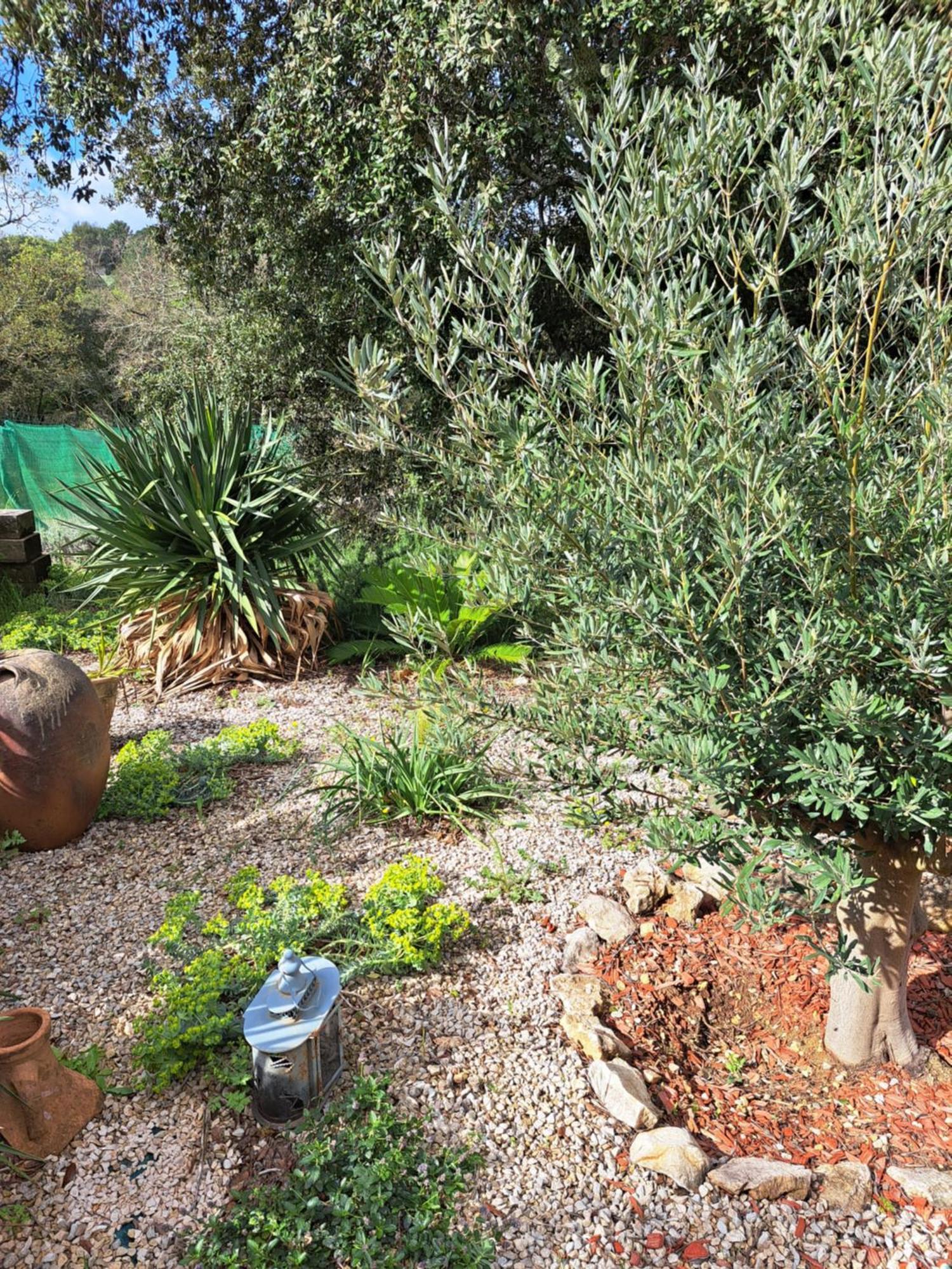 Le Calme De La Garrigue Bed & Breakfast Russan Dış mekan fotoğraf