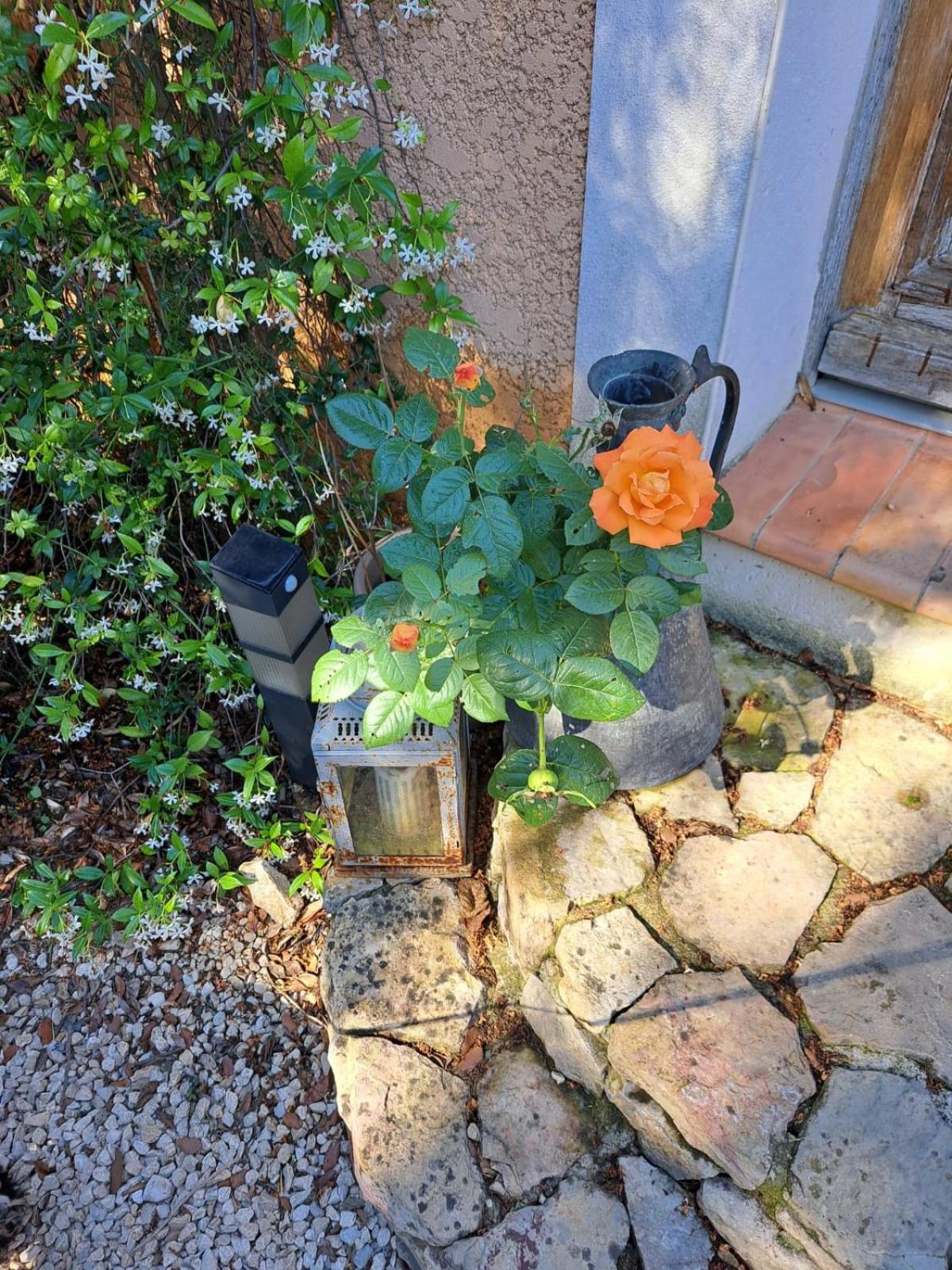 Le Calme De La Garrigue Bed & Breakfast Russan Dış mekan fotoğraf