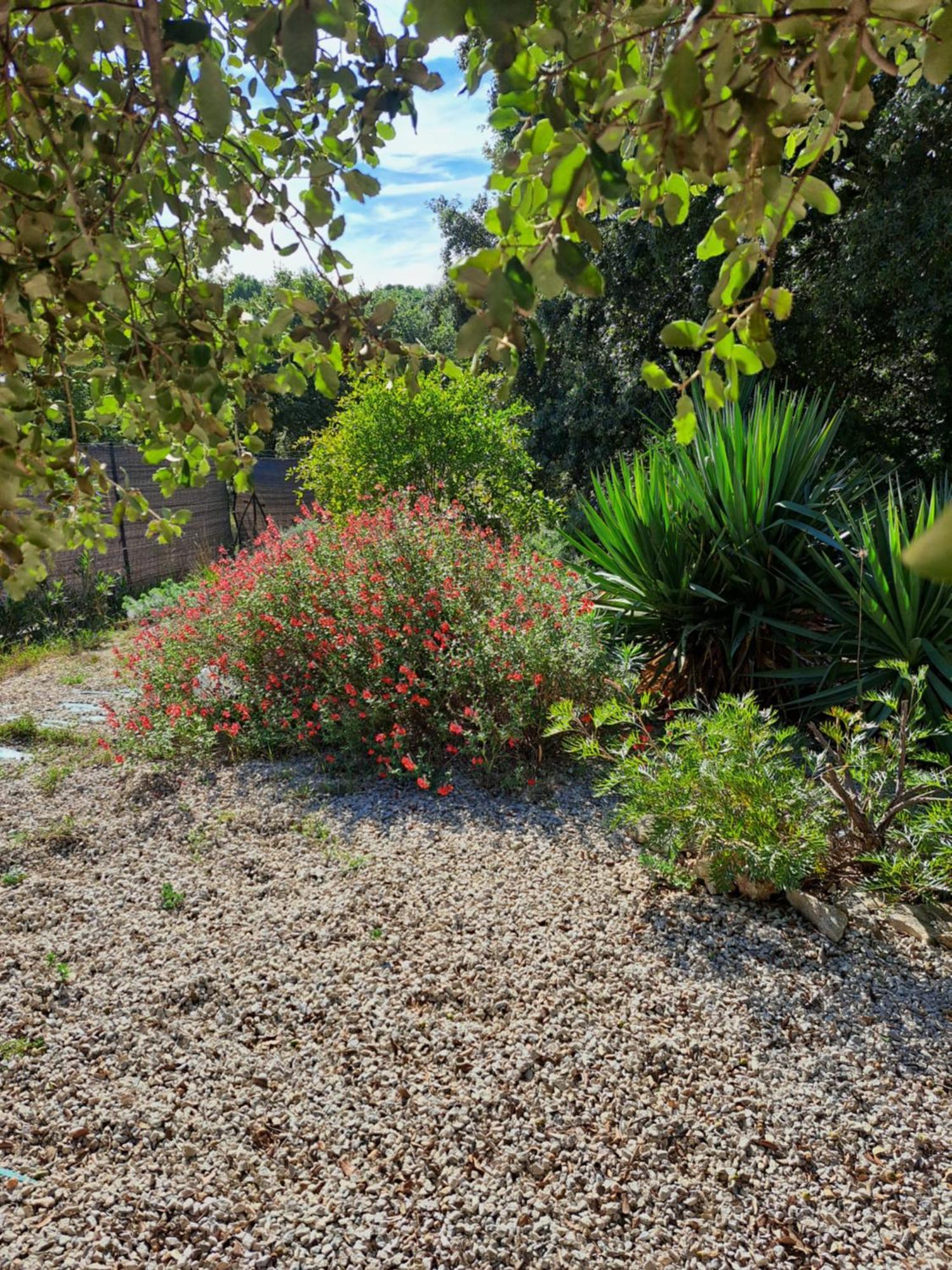 Le Calme De La Garrigue Bed & Breakfast Russan Dış mekan fotoğraf
