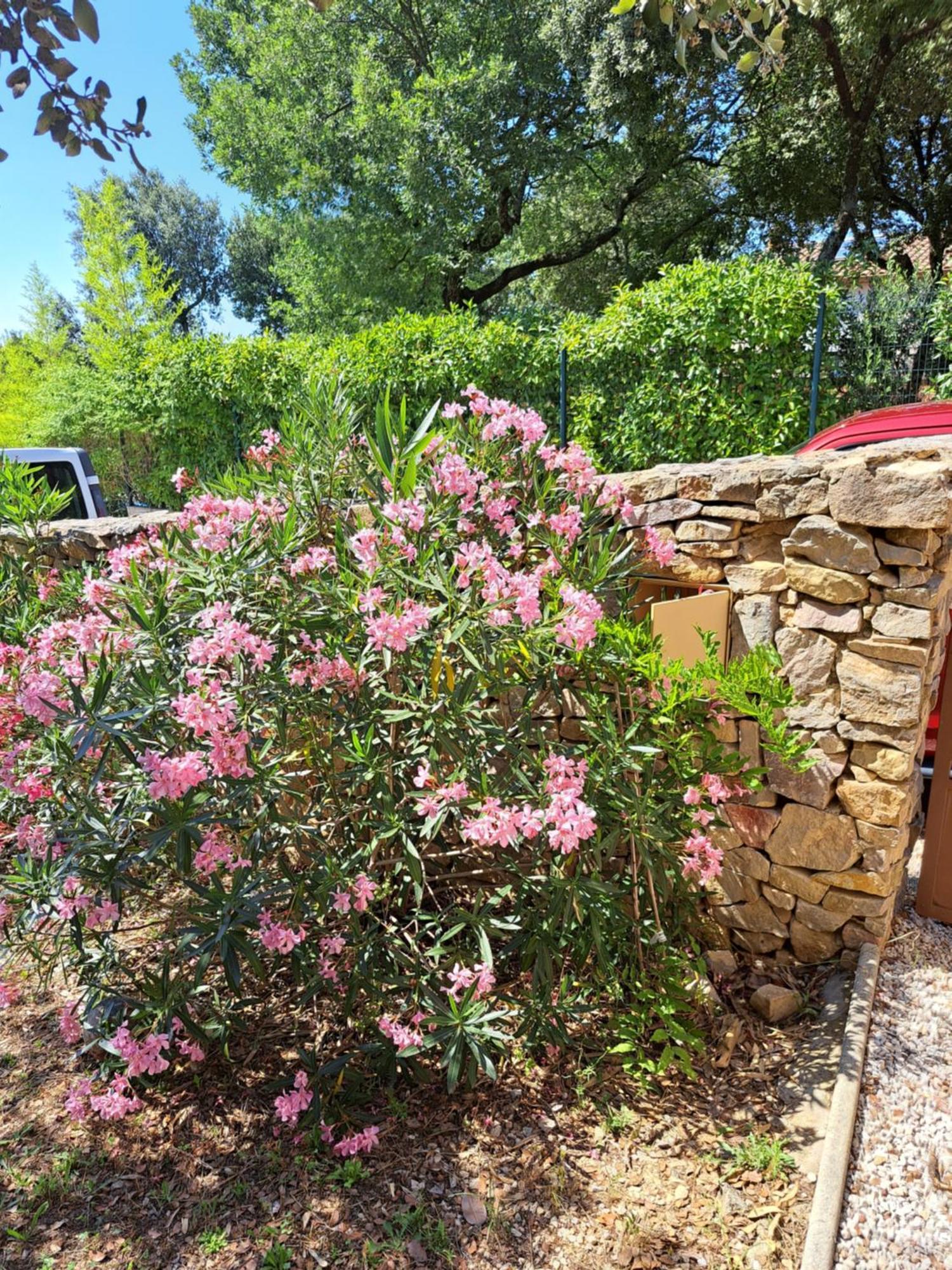 Le Calme De La Garrigue Bed & Breakfast Russan Dış mekan fotoğraf