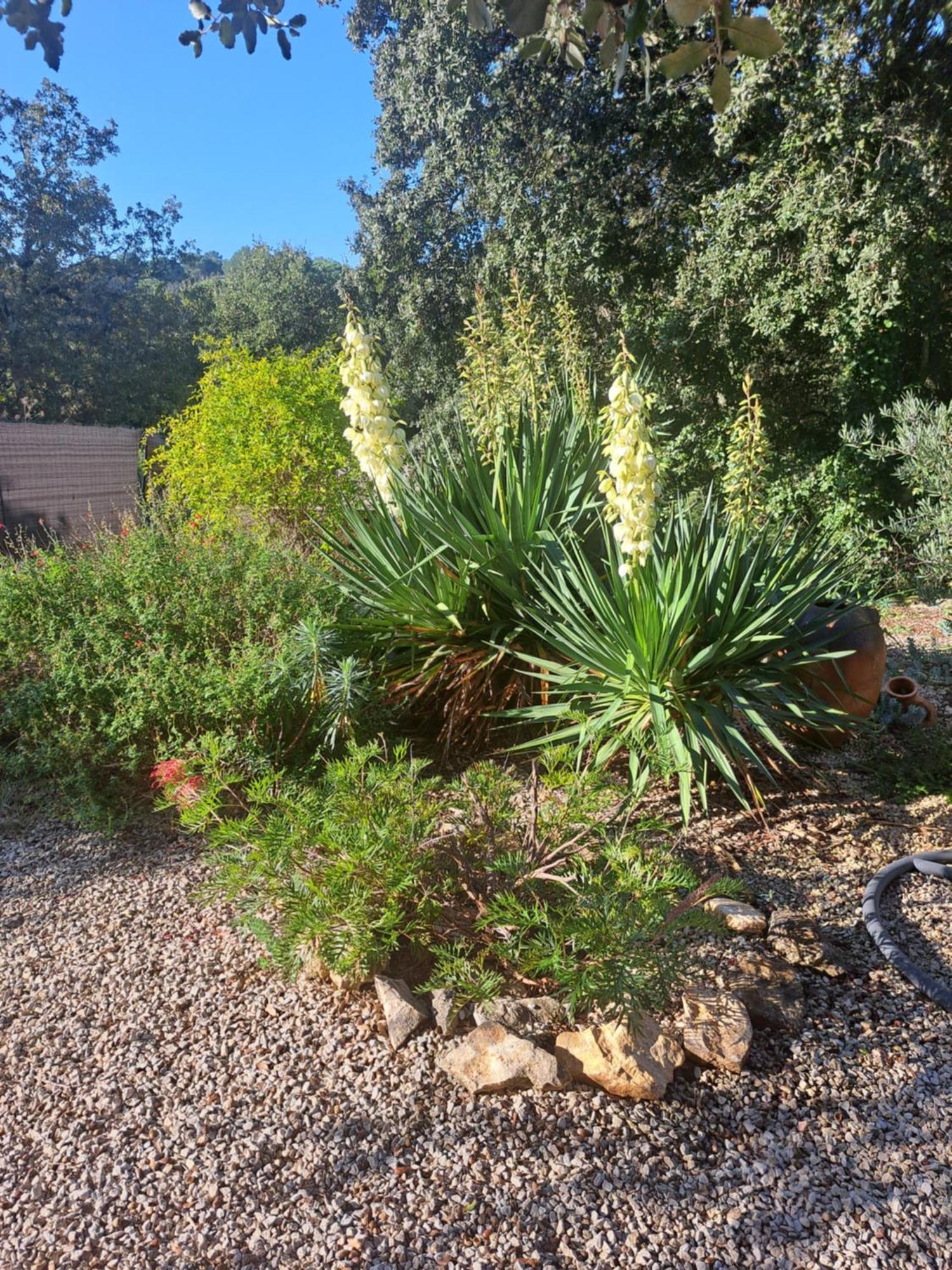 Le Calme De La Garrigue Bed & Breakfast Russan Dış mekan fotoğraf